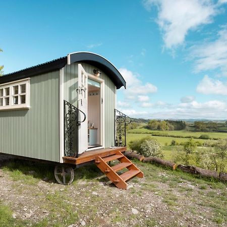The Heron Shepherds Hut At Lyth Valley Brigsteer Eksteriør bilde